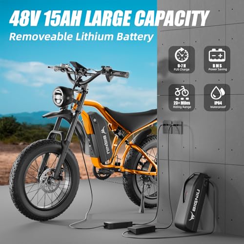 Adult Electric Bike 20" Fat Tire 1200W Motor 48V 7-Speed Dual Disc Brakes M663871