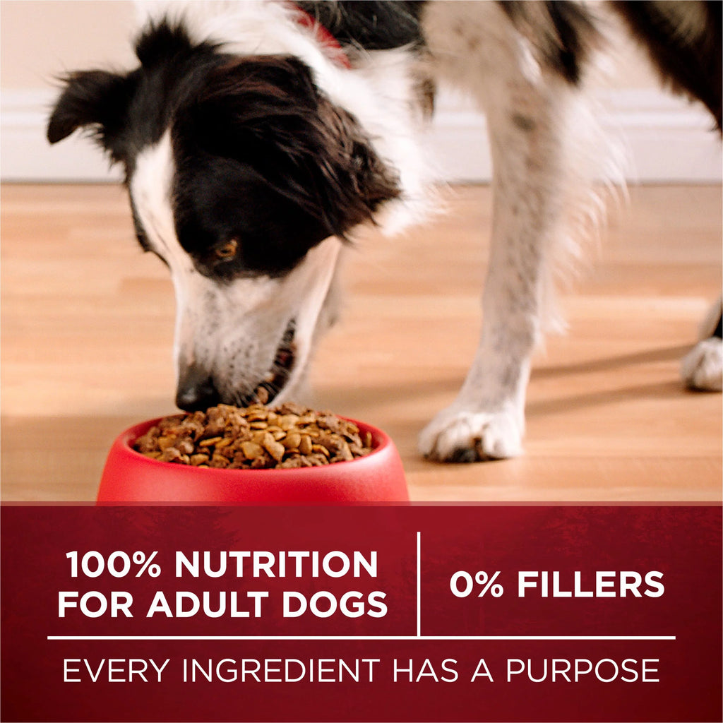 Natural High Protein Dog Food with Real Beef and Salmon V273291