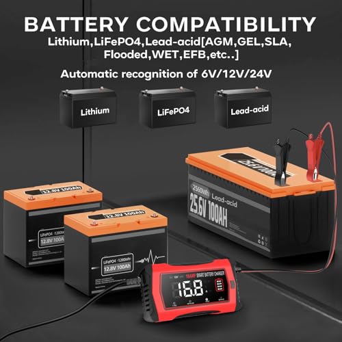 12V 24V 10-Stage Smart Battery Charger and Maintainer B154