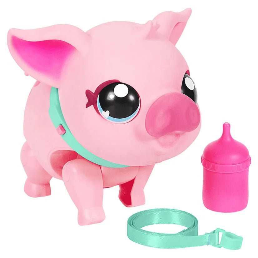 My Pet Pig Z99996