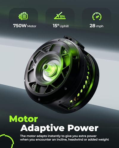 Electric Bike for Adults 750W 28mph with Removable Battery and Fat Tire N46855