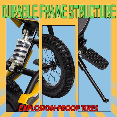 Electric Dirt Bike for Kids 8-14, 16MPH Off-Road Motorcycle with Twist Grip Throttle B563