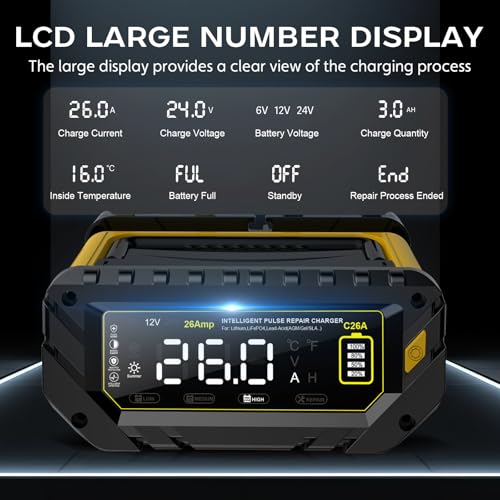 12V 24V 10-Stage Smart Battery Charger and Maintainer B154