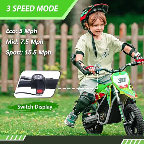 Electric Dirt Bike for Kids Aged 4-8, 350W Brushless Motor, 14'' Off-Road Tires, Blue J66927