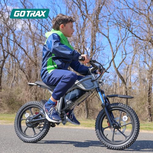 Electric Dirt Bike, 16" Pneumatic Tires, 15.5 Mph, 300W Brushless Motor M810