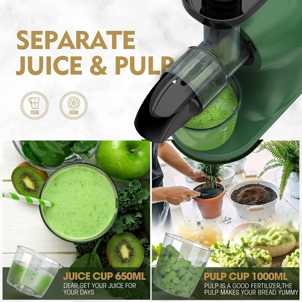 Slow Masticating Juicer for Vegetables and Fruits, Cold Press Extractor C51735