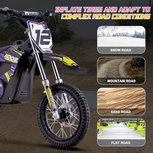 Electric Dirt Bike 36V 1000W Purple I1554