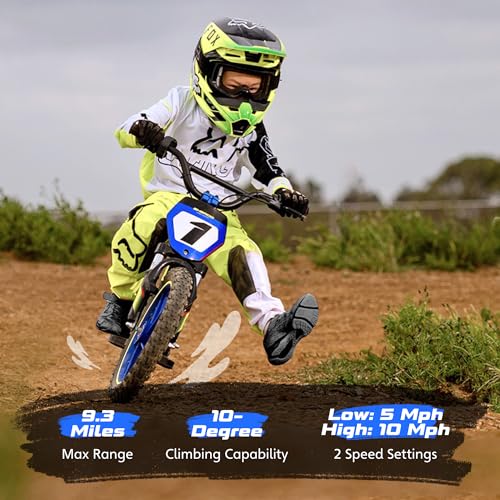Electric Dirt Bike for Kids Aged 3-6, 170W Motor, 24V Battery, 12IN Tires M30914