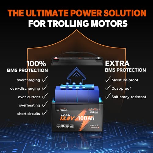 12V 100Ah LiFePO4 Battery Group 31 with Built-in 100A BMS N133