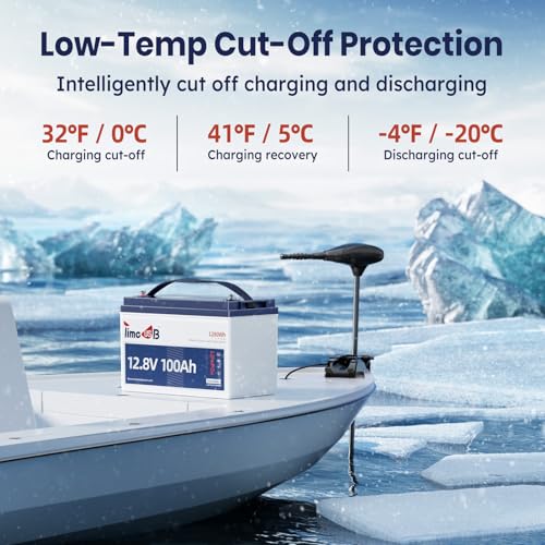 12V 100Ah LiFePO4 Marine Battery with Low-Temp Protection and 100A BMS X724