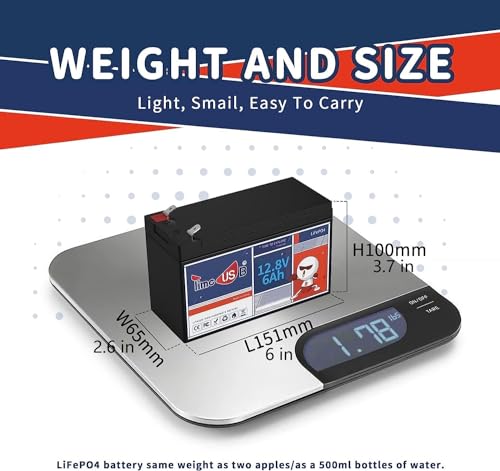 12V 100Ah LiFePO4 Marine Battery with Low-Temp Protection and 100A BMS X724