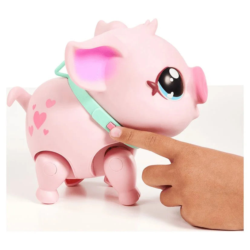 My Pet Pig Z99996