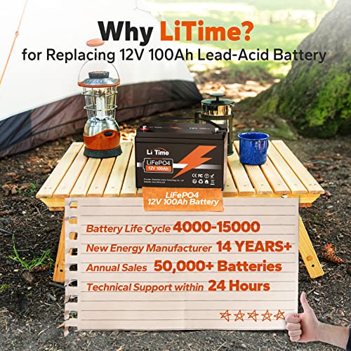 12V 100Ah LiFePO4 Battery Group 31 with Built-in 100A BMS N133