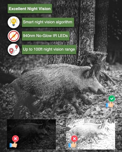 Trail Camera with Night Vision, Motion Activated, Waterproof W80844