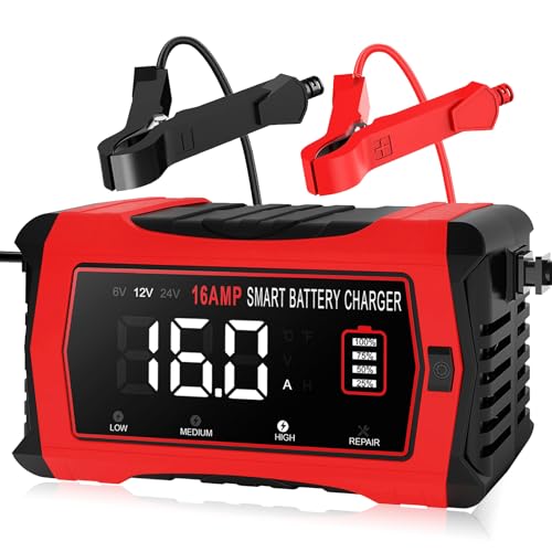 12V 24V 10-Stage Smart Battery Charger and Maintainer B154