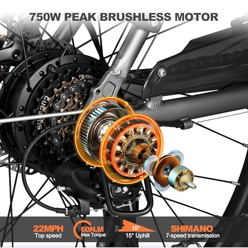 Electric Bike for Adults - 1000W Brushless Motor, Removable Battery, 7-Speed Commuter Z1037
