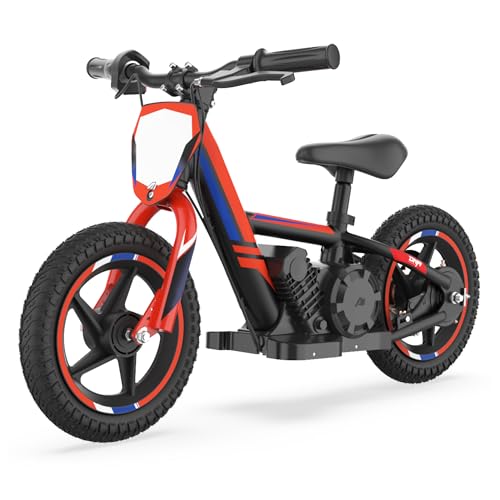 Electric Dirt Bike for Kids Aged 3-6, 170W Motor, 24V Battery, 12IN Tires M30914