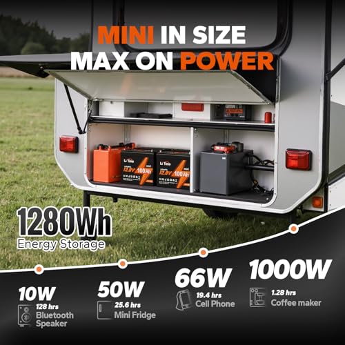 12V 100Ah LiFePO4 Battery Group 31 with Built-in 100A BMS N133