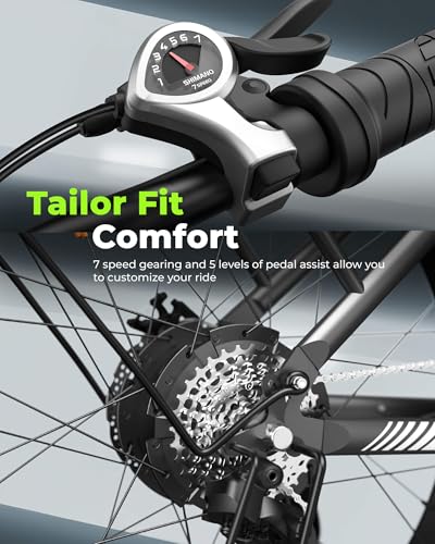 Electric Bike for Adults 750W 28mph with Removable Battery and Fat Tire N46855