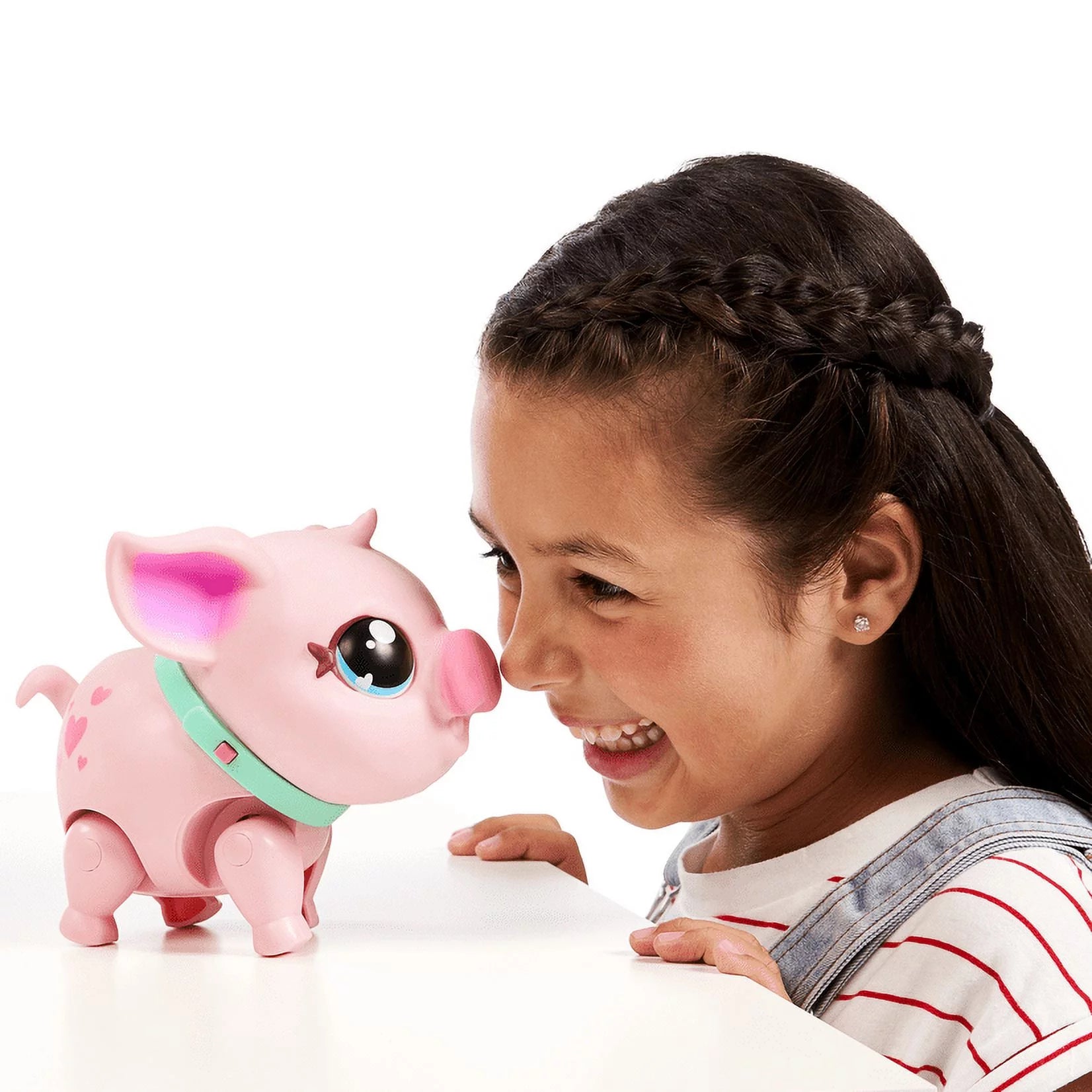 My Pet Pig Z99996