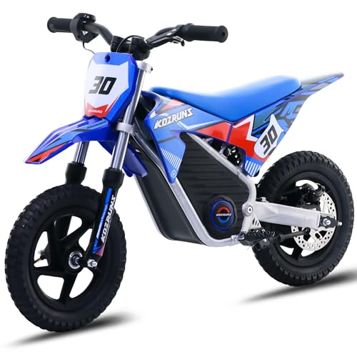 Electric Dirt Bike for Kids Aged 4-8, 350W Brushless Motor, 14'' Off-Road Tires, Blue J66927