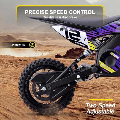 Electric Dirt Bike 36V 1000W Purple I1554