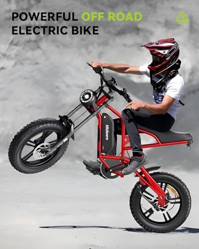 Electric Dirt Bike for Adults 20 Inch Fat Tire Off Road K530