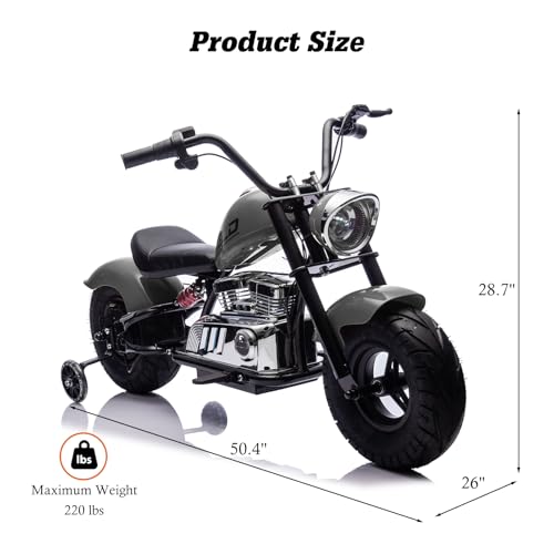 Electric Dirt Bike for Kids 14+, 360W Motor, 15.5 MPH, Gray D8115