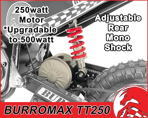 Electric Dirt Bike for Kids, 250W 24V, 14 Mph, Off-Road Mini Bike A80721