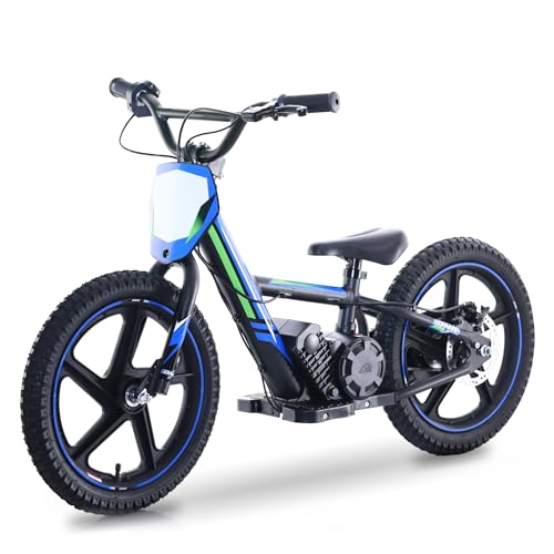 Electric Dirt Bike for Kids Aged 3-6, 170W Motor, 24V Battery, 12IN Tires M30914