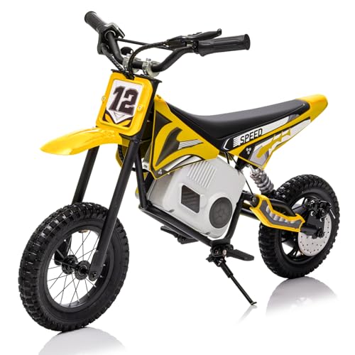 Electric Dirt Bike for Kids 8-14, 16MPH Off-Road Motorcycle with Twist Grip Throttle B563
