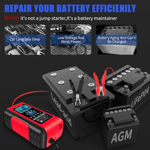 10A LiFePO4 Lead Acid Car Battery Charger 12/24V Trickle Charger Maintainer W6820