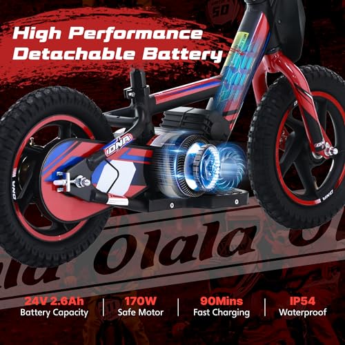 Electric Dirt Bike for Kids Aged 3-6, 170W Motor, 24V Battery, 12IN Tires M30914