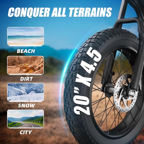 Adult Electric Bike 20" Fat Tire 1200W Motor 48V 7-Speed Dual Disc Brakes M663871