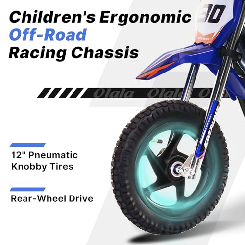 Electric Dirt Bike for Kids Aged 4-8, 350W Brushless Motor, 14'' Off-Road Tires, Blue J66927