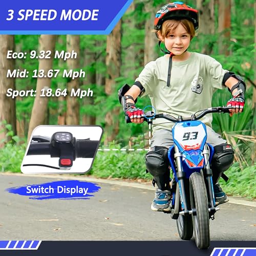 Electric Dirt Bike for Kids Aged 4-8, 350W Brushless Motor, 14'' Off-Road Tires, Blue J66927