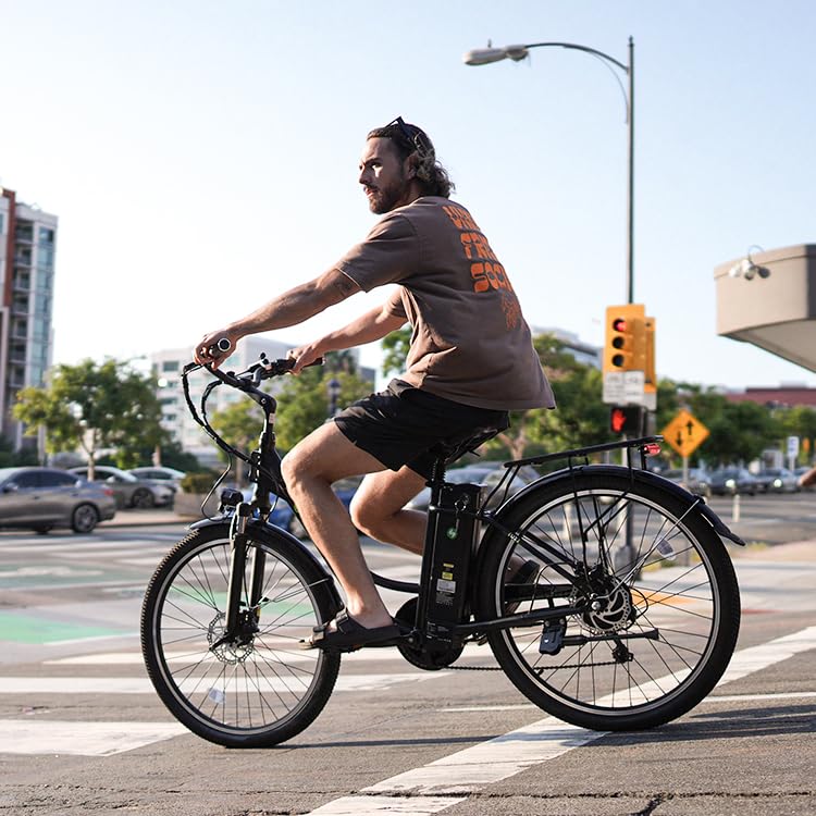 Electric Bike for Adults 750W 28mph with Removable Battery and Fat Tire N46855