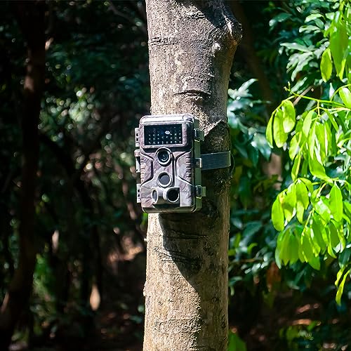 Trail Camera, 64MP 1296p, No Glow Night Vision, Motion Activated Waterproof B8160