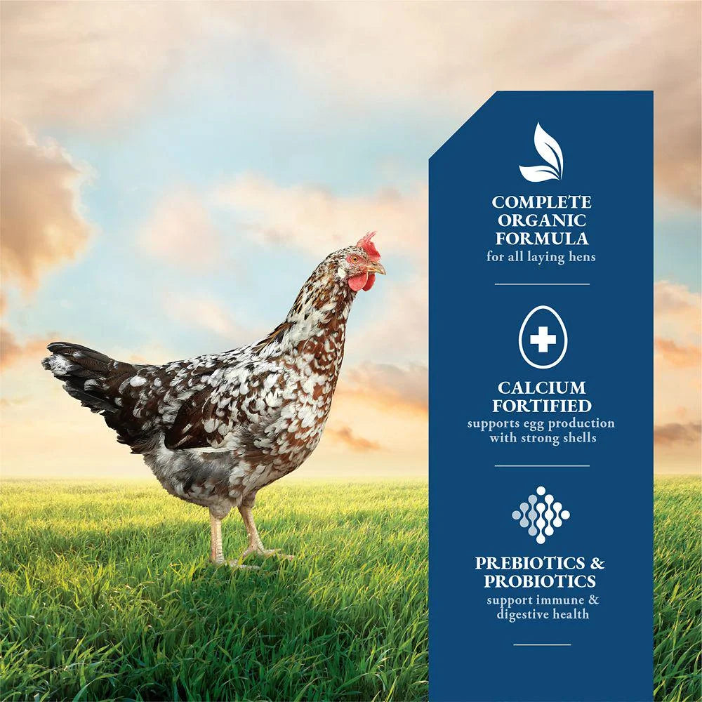Organic Layer Pellet Chicken Feed, 40 lb. I21808