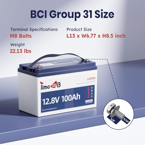 12V 100Ah LiFePO4 Marine Battery with Low-Temp Protection and 100A BMS X724