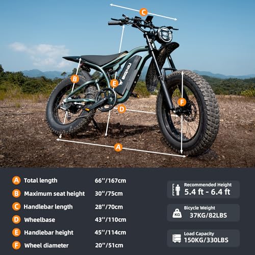 Adult Electric Bike 20" Fat Tire 1200W Motor 48V 7-Speed Dual Disc Brakes M663871