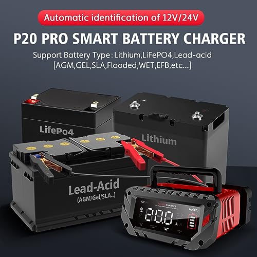 20 Amp Lithium Battery Charger, 12V and 24V Lifepo4, Lead-Acid Portable Car Battery Charger R763