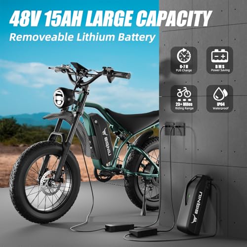 Adult Electric Bike 20" Fat Tire 1200W Motor 48V 7-Speed Dual Disc Brakes M663871