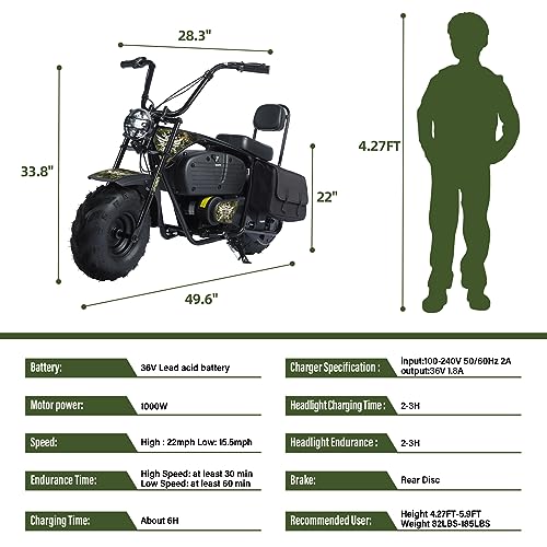 Electric Mini Bike for Kids, 36V Battery, 1000W Motor, 2 Speeds, Green G2174
