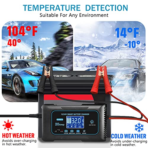 20 Amp Lithium Battery Charger, 12V and 24V Lifepo4, Lead-Acid Portable Car Battery Charger R763