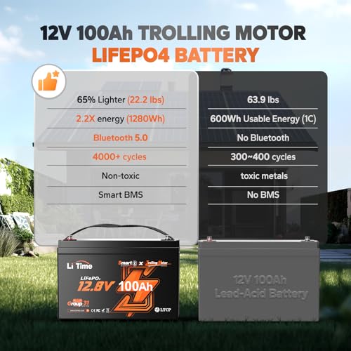 12V 100Ah LiFePO4 Battery Group 31 with Built-in 100A BMS N133