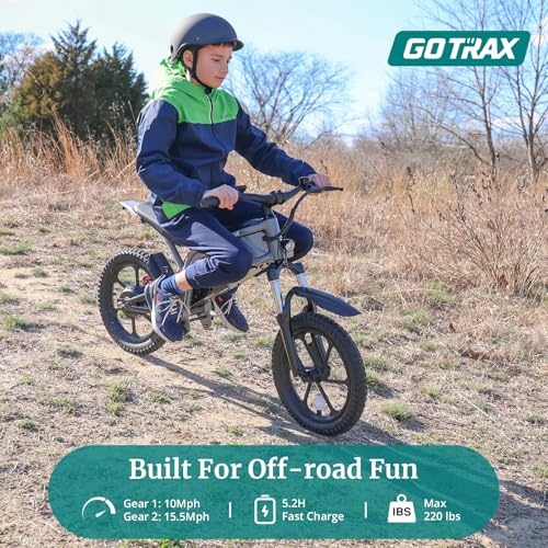 Electric Dirt Bike, 16" Pneumatic Tires, 15.5 Mph, 300W Brushless Motor M810