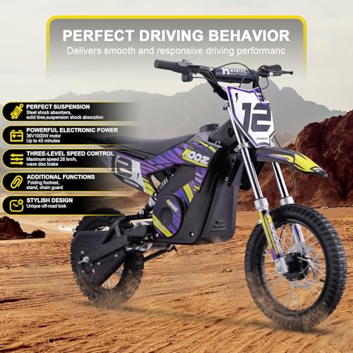 Electric Dirt Bike 36V 1000W Purple I1554