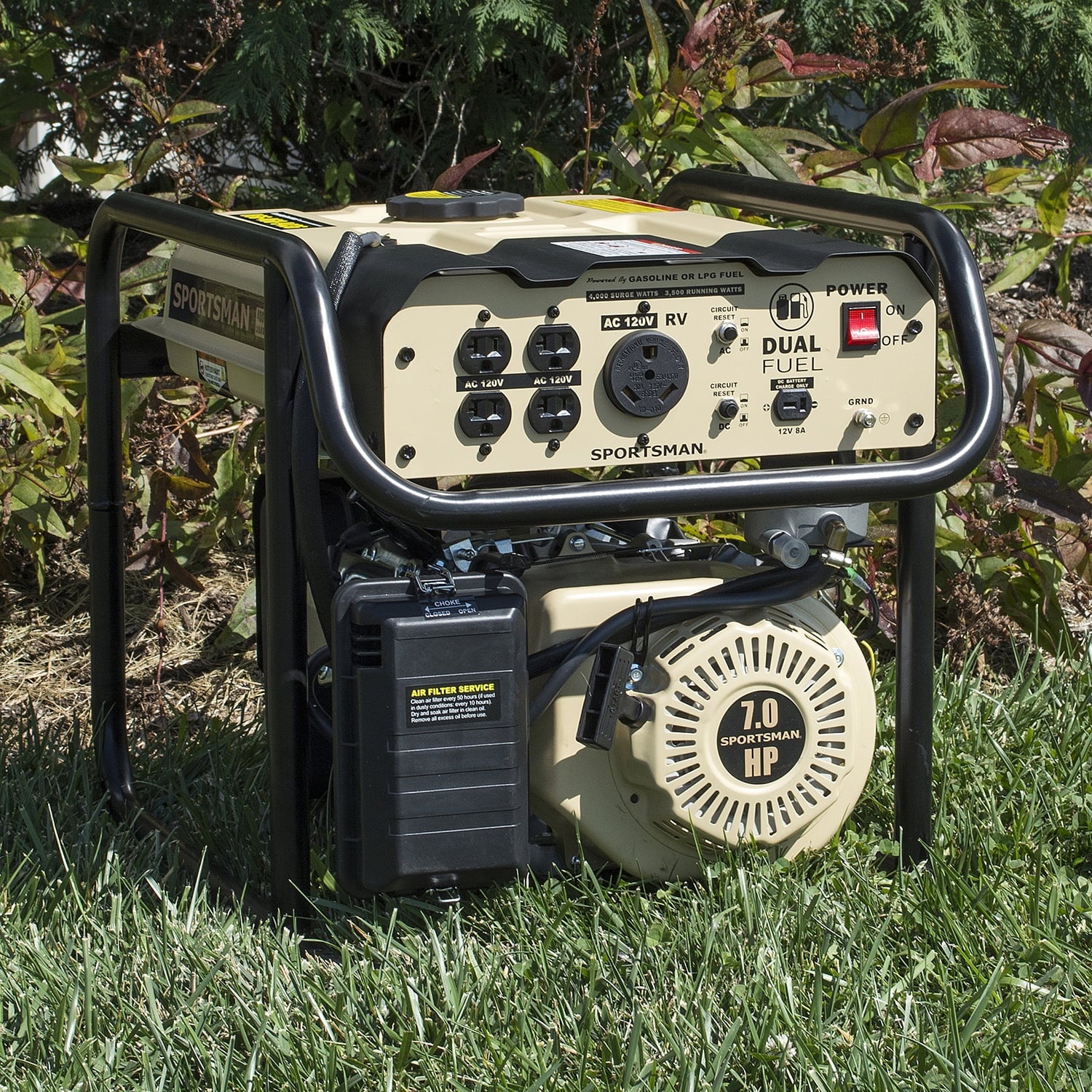 4000 Watt Dual Fuel Generator Y293