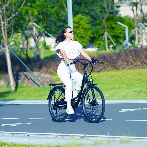 Electric Bike for Adults 750W 28mph with Removable Battery and Fat Tire N46855